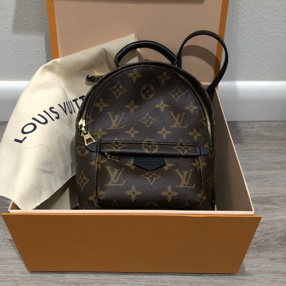 Louis Vuitton mini Palm Spring backpack